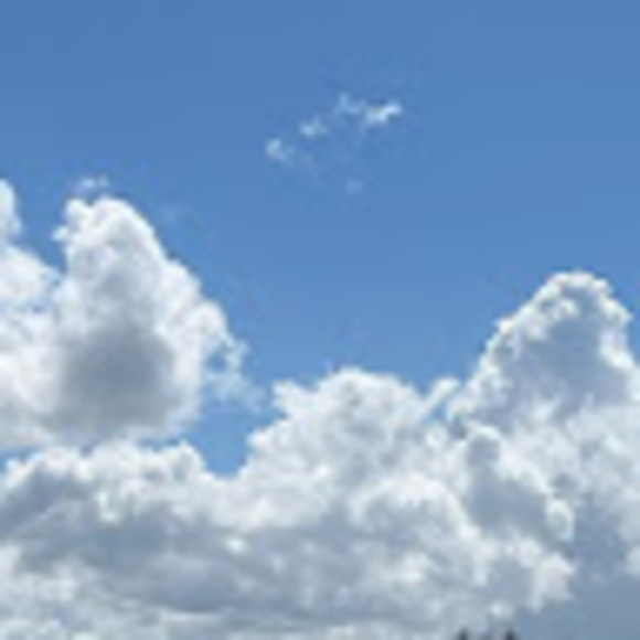 Meet your Posher, Snehal - Picture 1 of 1